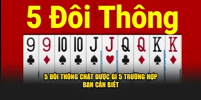 5 Đôi Thông Chặt Được Gì 5 Trường Hợp Bạn Cần Biết