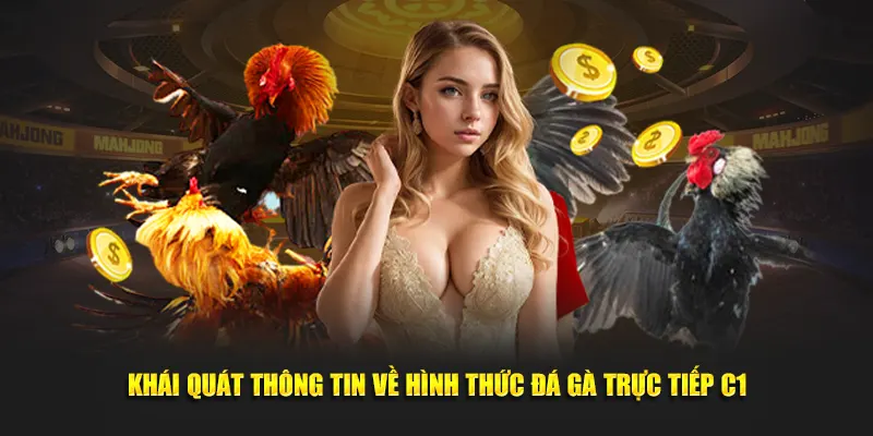 Khái quát thông tin về hình thức đá gà trực tiếp C1