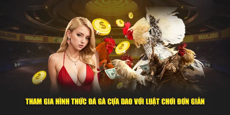 Tham gia hình thức đá gà cựa dao với luật chơi đơn giản